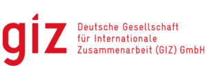 logo de GIZ