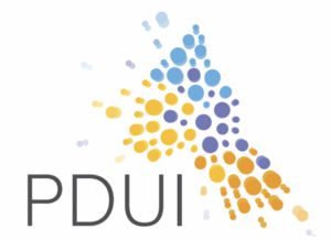 logo PDUI