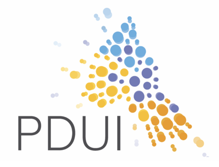logo PDUI